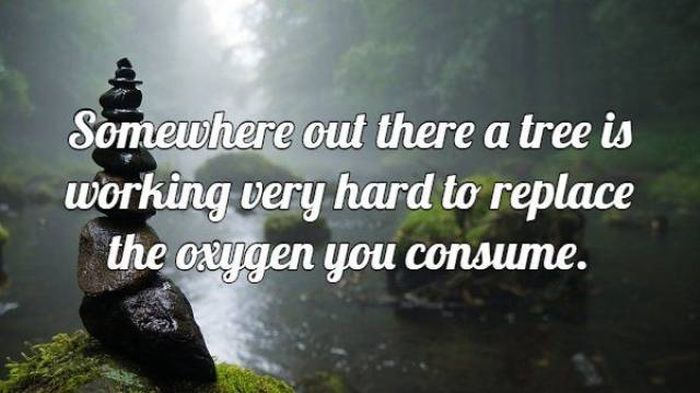 Majestic Views Make Up For These Awful Insults (17 pics)