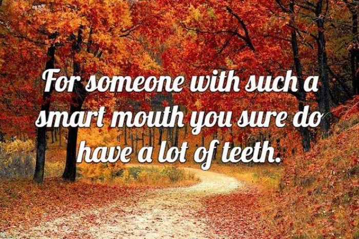 Majestic Views Make Up For These Awful Insults (17 pics)
