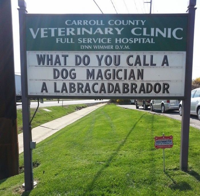 Funny Vet Signs (28 pics)