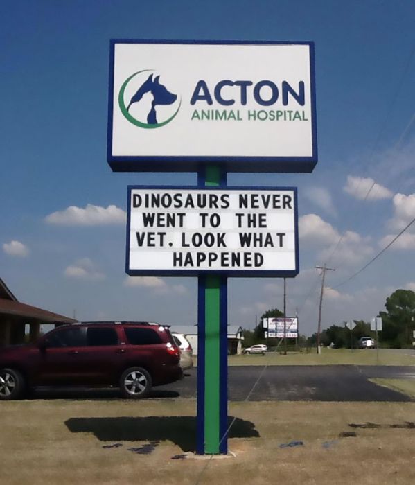 Funny Vet Signs (28 pics)