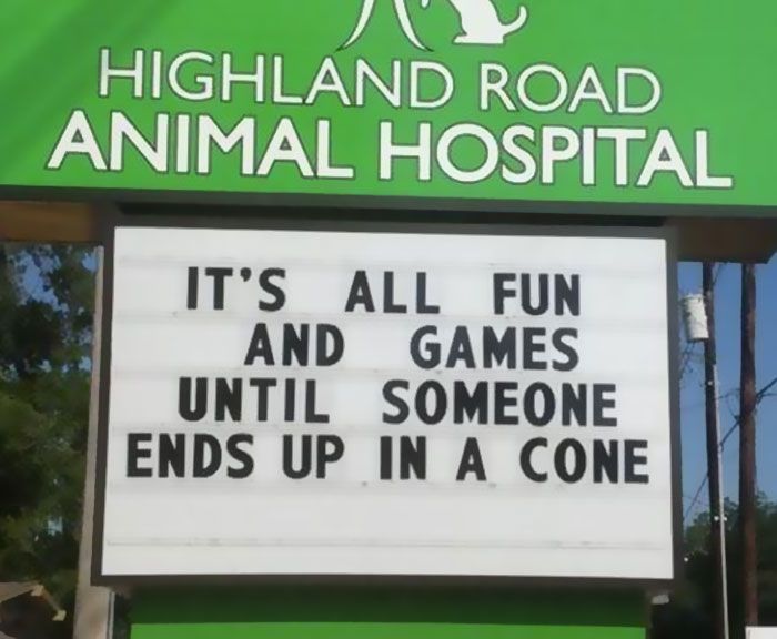 Funny Vet Signs (28 pics)