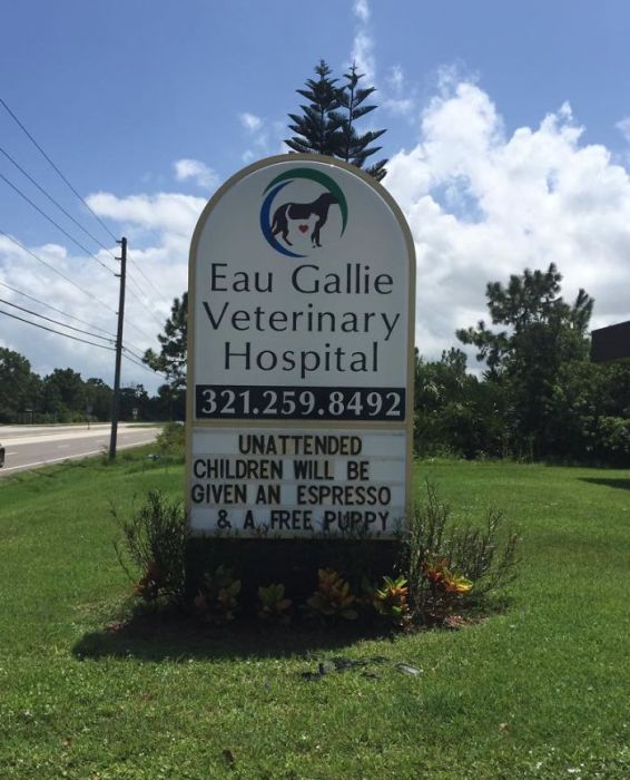 Funny Vet Signs (28 pics)