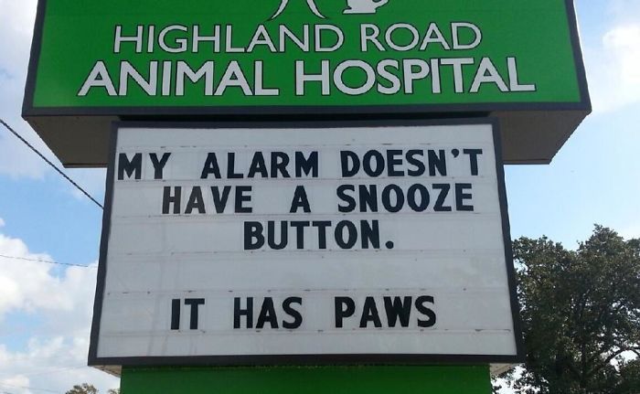 Funny Vet Signs (28 pics)