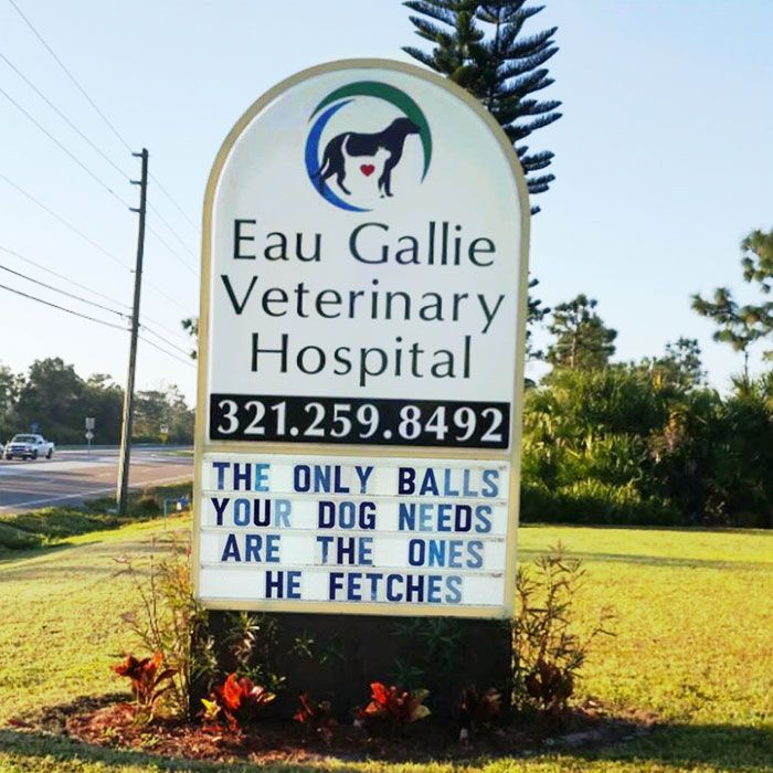 Funny Vet Signs (28 pics)