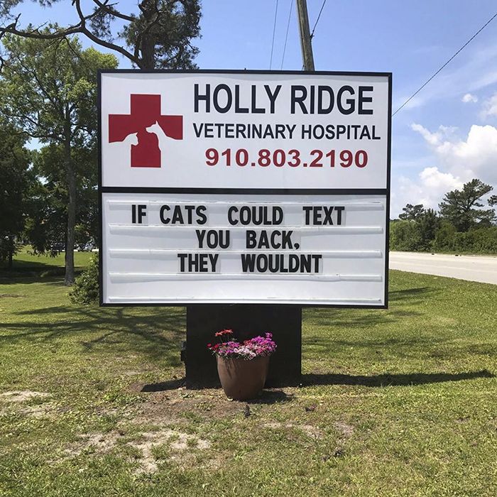 Funny Vet Signs (28 pics)