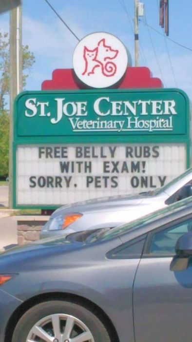 Funny Vet Signs (28 pics)