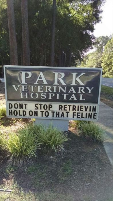 Funny Vet Signs (28 pics)