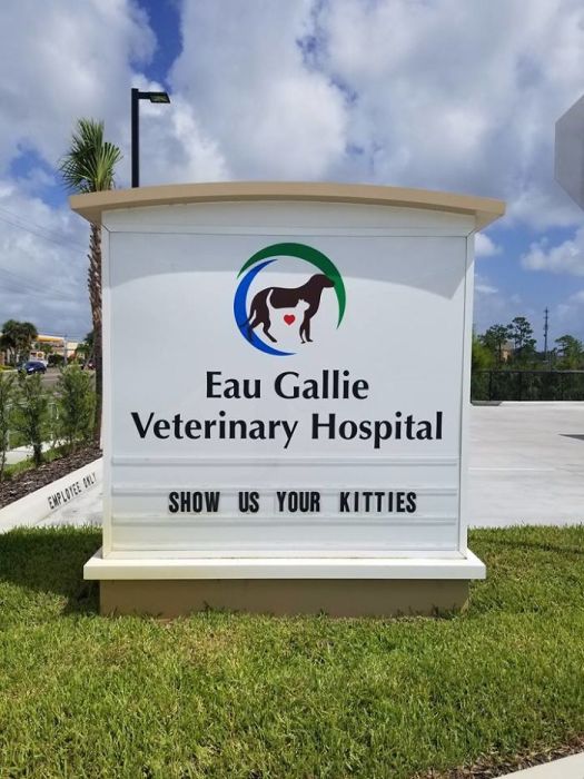 Funny Vet Signs (28 pics)