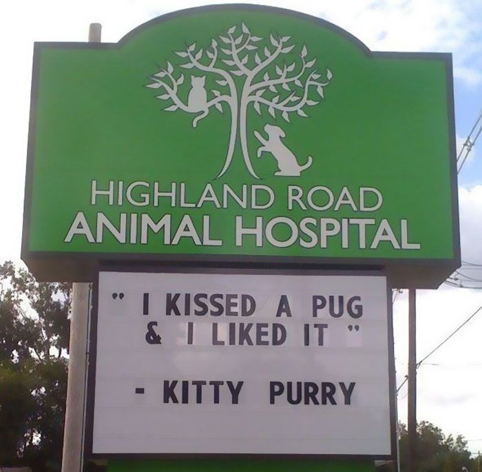 Funny Vet Signs (28 pics)