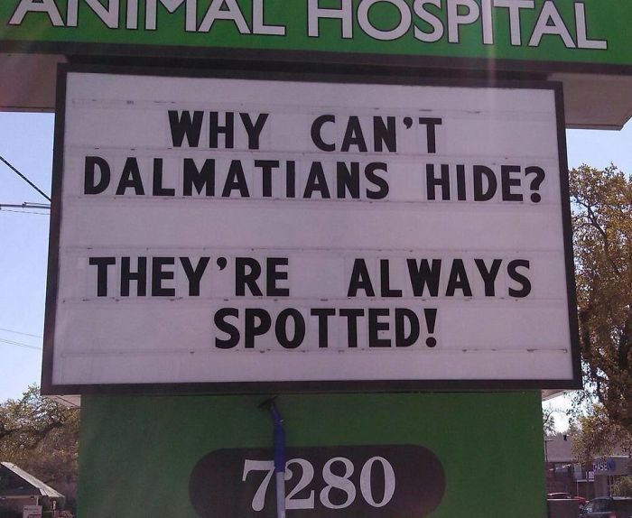 Funny Vet Signs (28 pics)