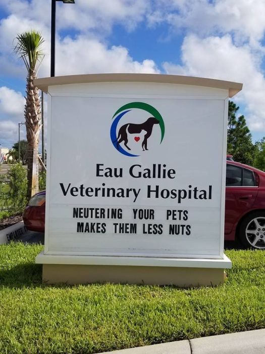 Funny Vet Signs (28 pics)