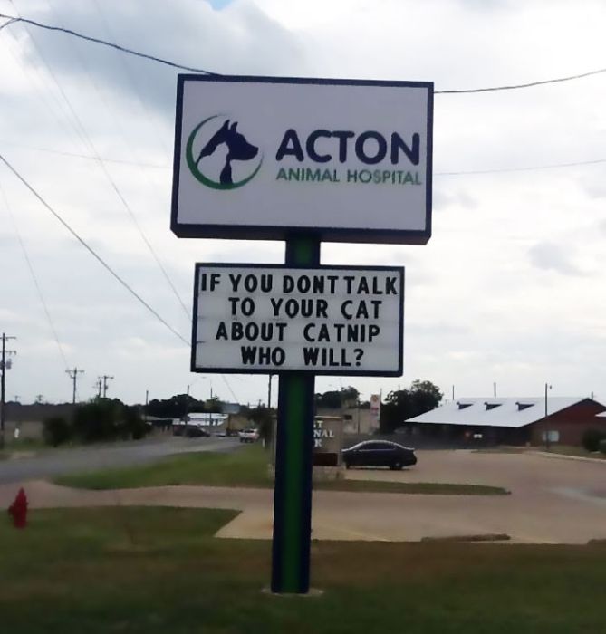 Funny Vet Signs (28 pics)