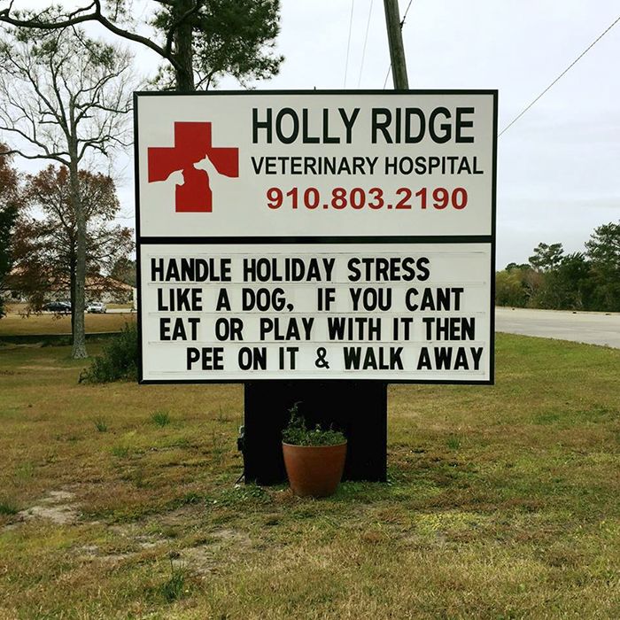 Funny Vet Signs (28 pics)