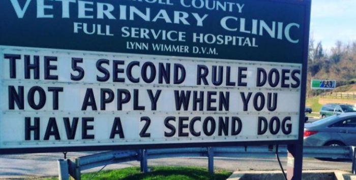 Funny Vet Signs (28 pics)
