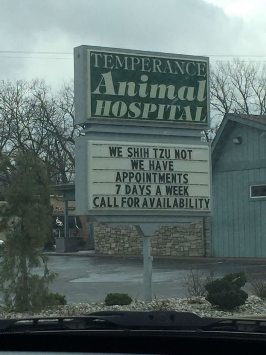 Funny Vet Signs (28 pics)