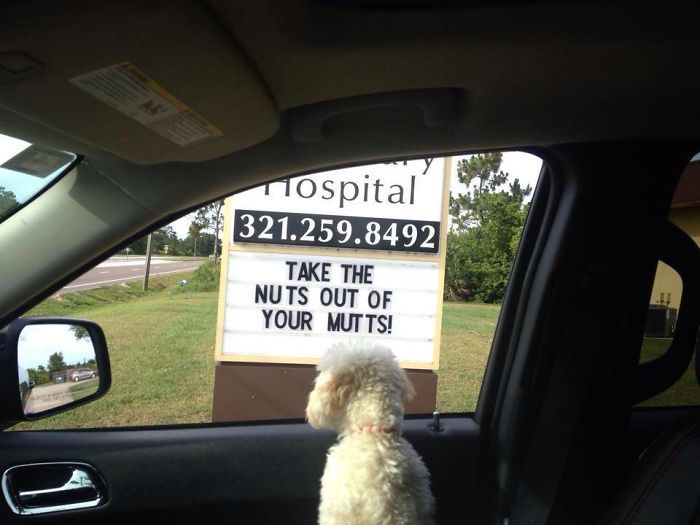 Funny Vet Signs (28 pics)