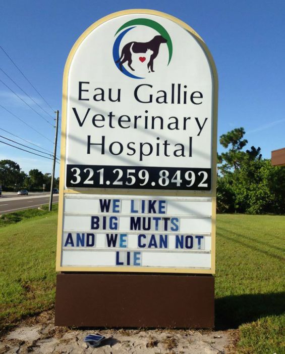 Funny Vet Signs (28 pics)