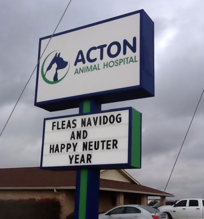 Funny Vet Signs (28 pics)