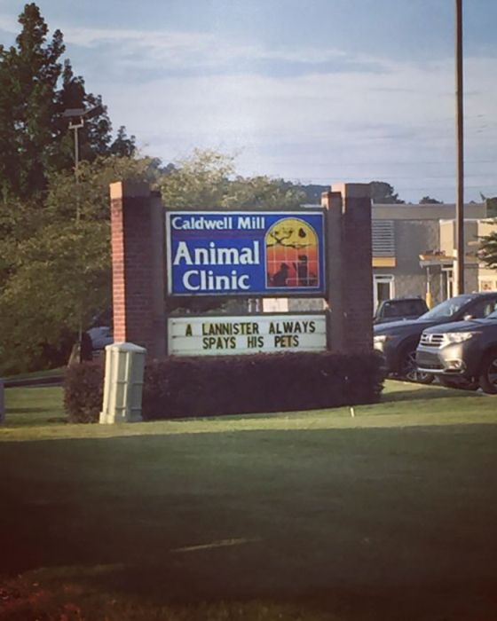 Funny Vet Signs (28 pics)