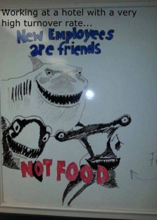 Work LOLs (45 pics)