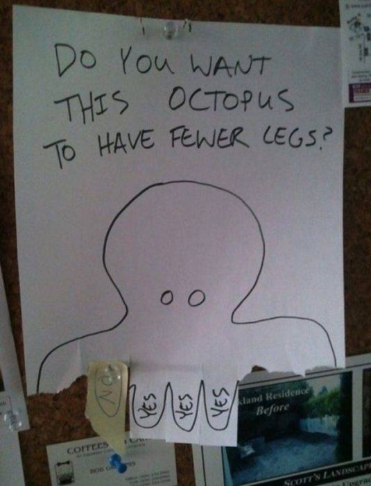Work LOLs (45 pics)