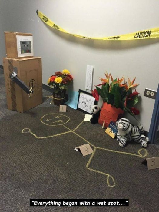 Work LOLs (45 pics)