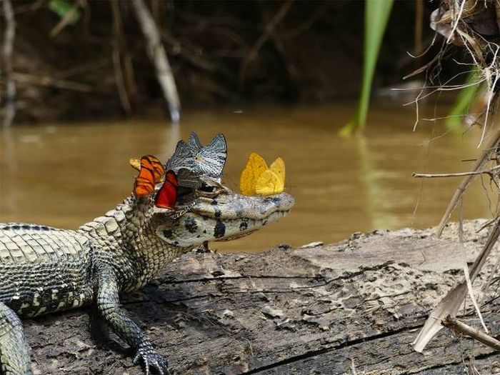 When A Picture Says More Than Just A Thousand Words (44 pics)