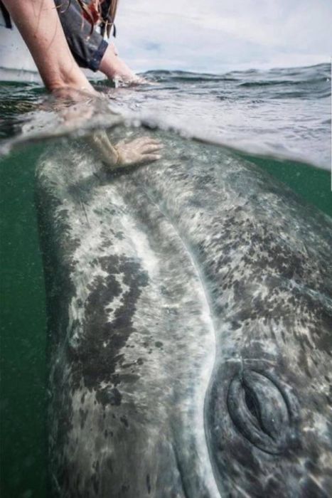 When A Picture Says More Than Just A Thousand Words (44 pics)