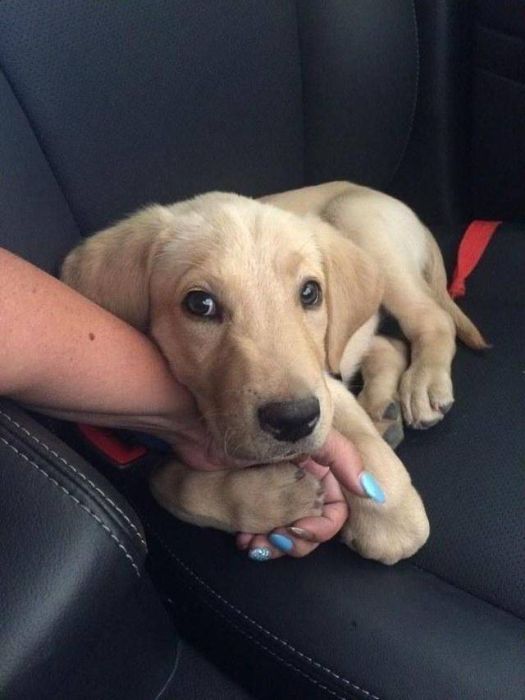 When A Picture Says More Than Just A Thousand Words (44 pics)