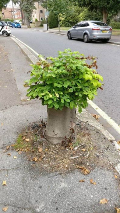 When A Picture Says More Than Just A Thousand Words (44 pics)