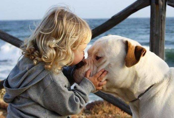 When A Picture Says More Than Just A Thousand Words (44 pics)