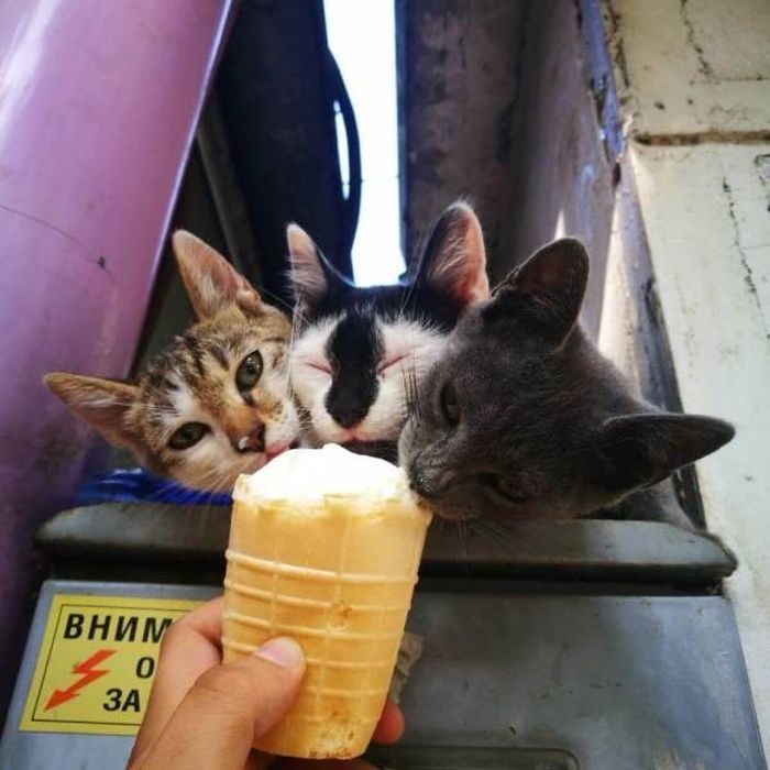 When A Picture Says More Than Just A Thousand Words (44 pics)