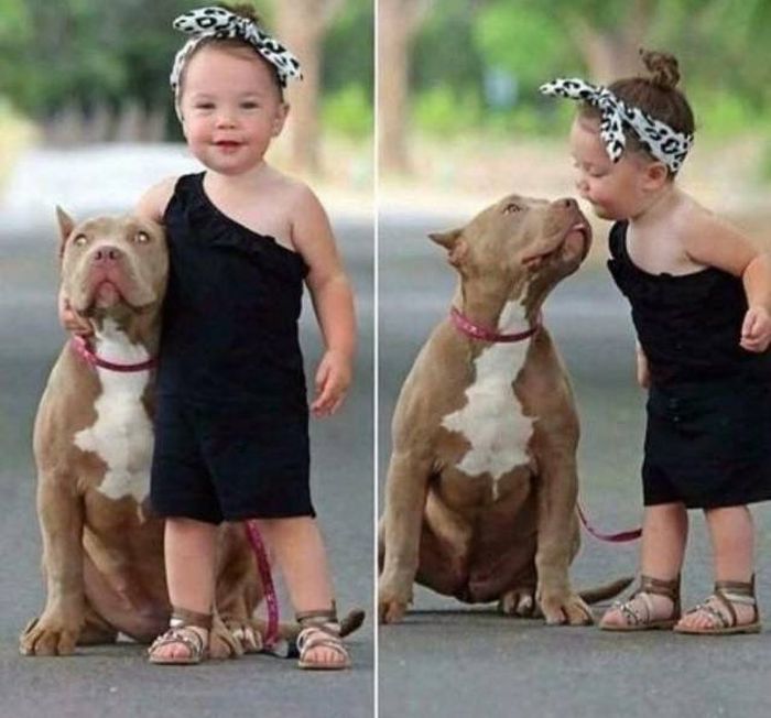 When A Picture Says More Than Just A Thousand Words (44 pics)