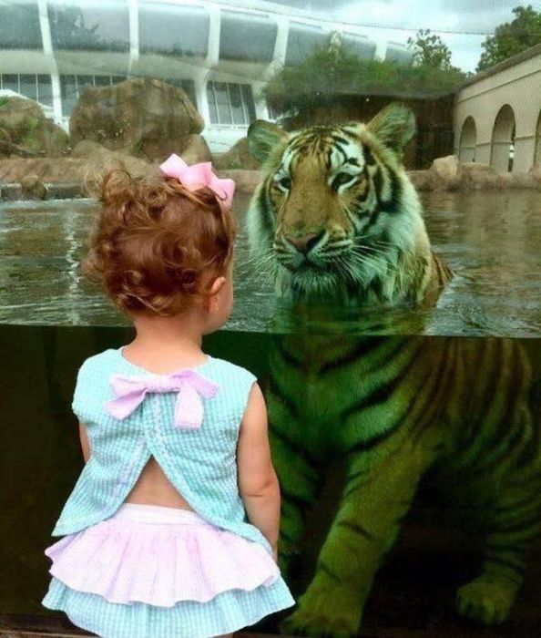 When A Picture Says More Than Just A Thousand Words (44 pics)