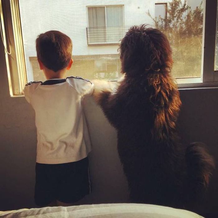 When A Picture Says More Than Just A Thousand Words (44 pics)