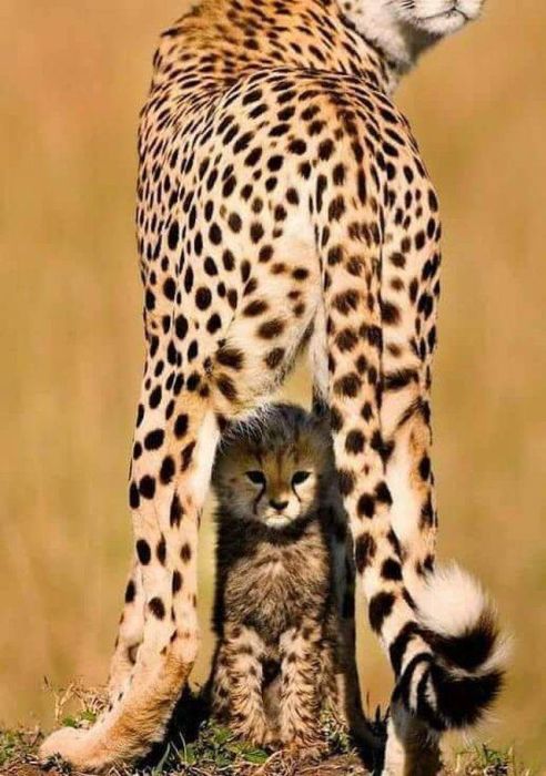 When A Picture Says More Than Just A Thousand Words (44 pics)