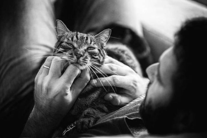 When A Picture Says More Than Just A Thousand Words (44 pics)