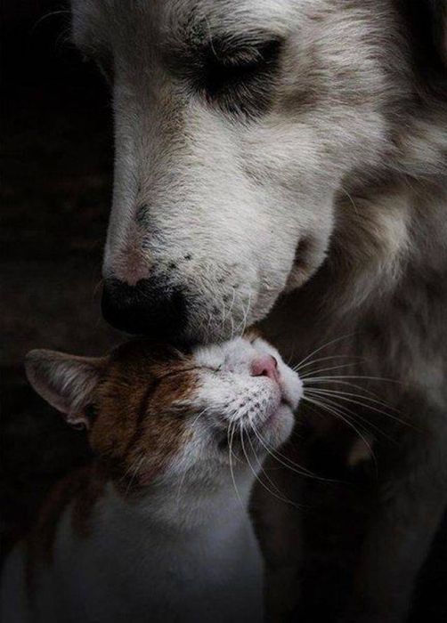 When A Picture Says More Than Just A Thousand Words (44 pics)