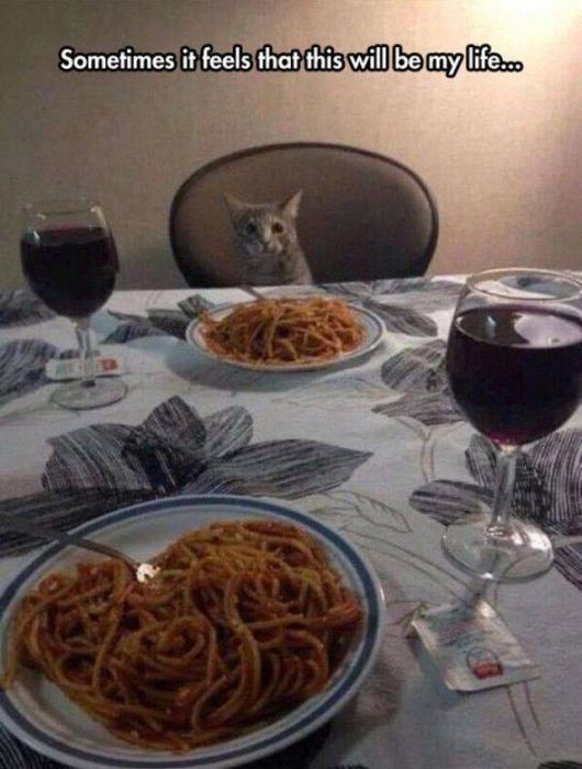 Welcome To The World Of Lonely People (35 pics)