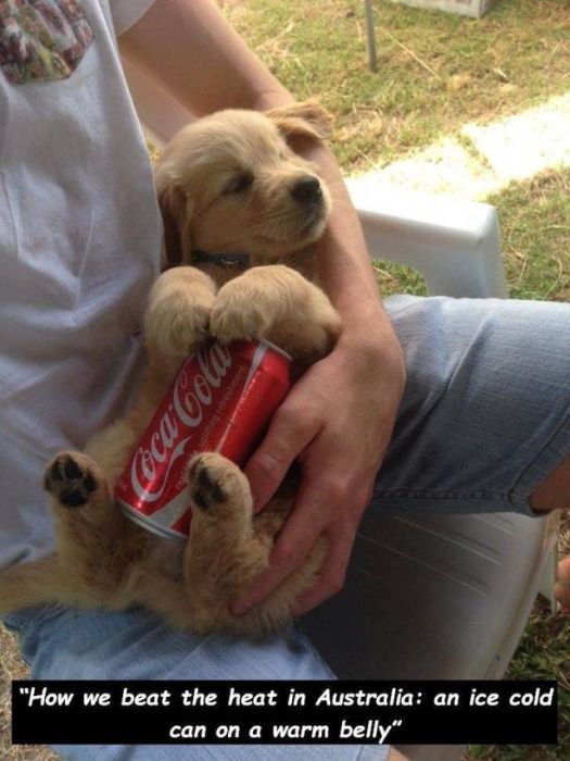 Heat Is Bad (24 pics)