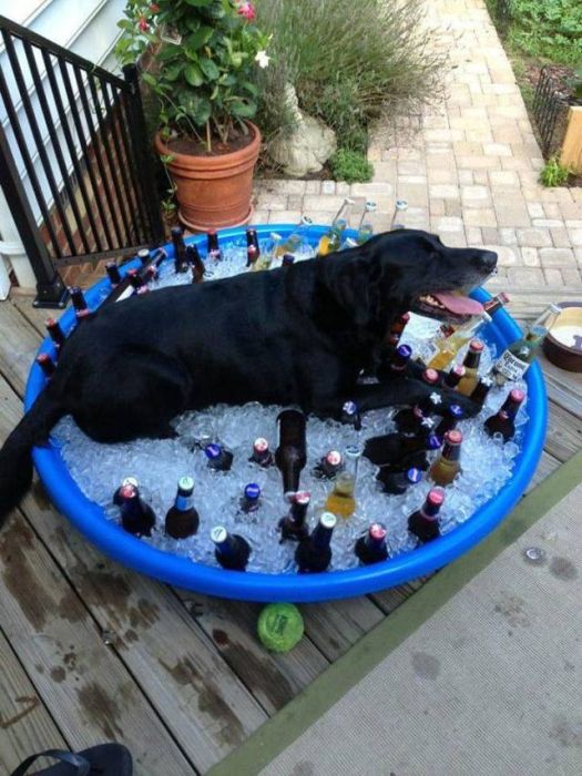 Heat Is Bad (24 pics)