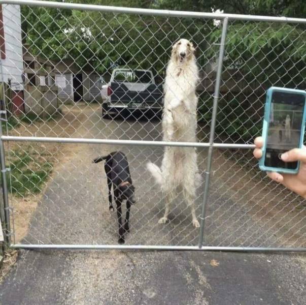 Acid Picdump (90 pics)