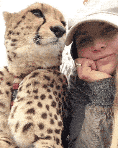 Cute Girl In Love With The African Wildlife (29 pics)