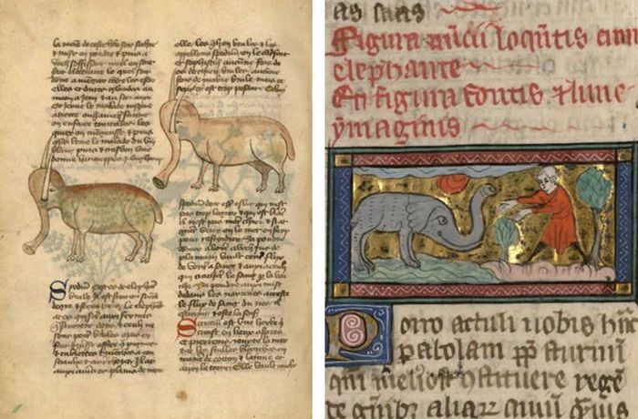 In The Middle Ages, The Drawings Were Made From Other People's Words. Figures Of Elephants (12 pics)