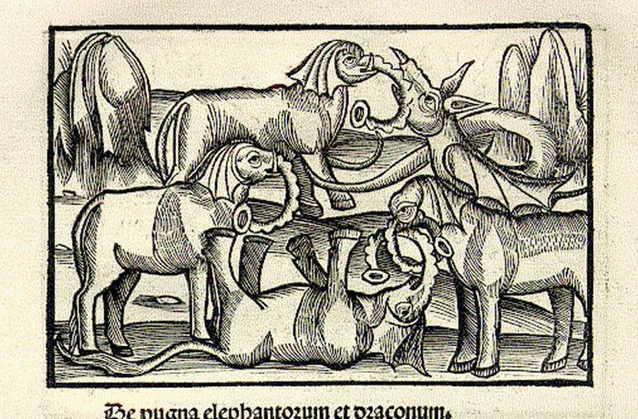 In The Middle Ages, The Drawings Were Made From Other People's Words. Figures Of Elephants (12 pics)