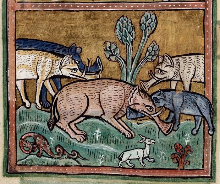 In The Middle Ages, The Drawings Were Made From Other People's Words. Figures Of Elephants (12 pics)