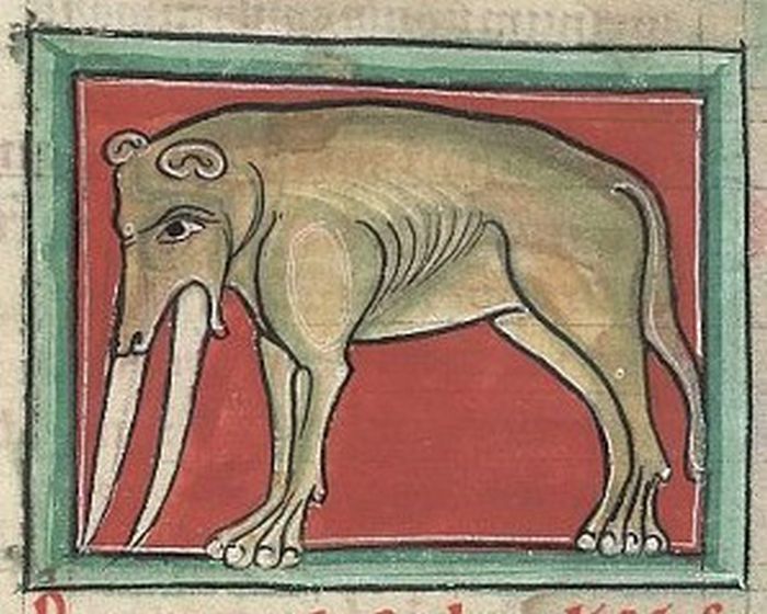 In The Middle Ages, The Drawings Were Made From Other People's Words. Figures Of Elephants (12 pics)