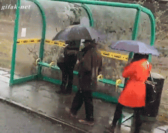 Acid Gifdump, August 07, 2018 (25 gifs)