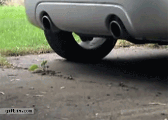 Acid Gifdump, August 07, 2018 (25 gifs)