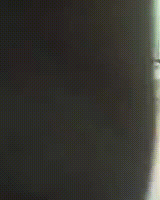 Acid Gifdump, August 07, 2018 (25 gifs)